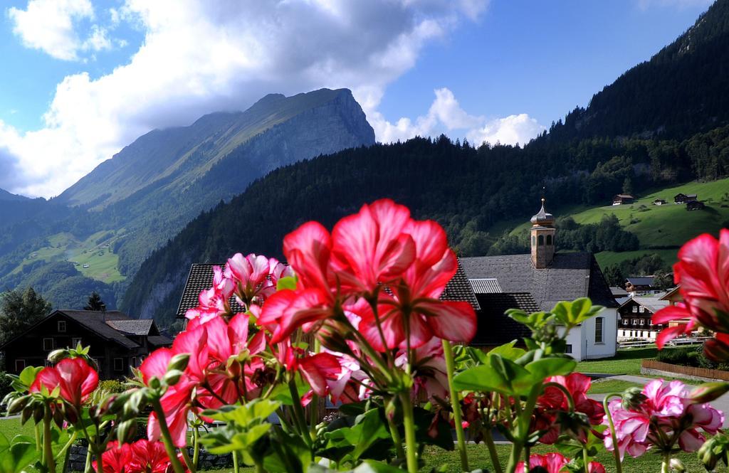 Отель Haus Alpina Au (Vorarlberg) Экстерьер фото