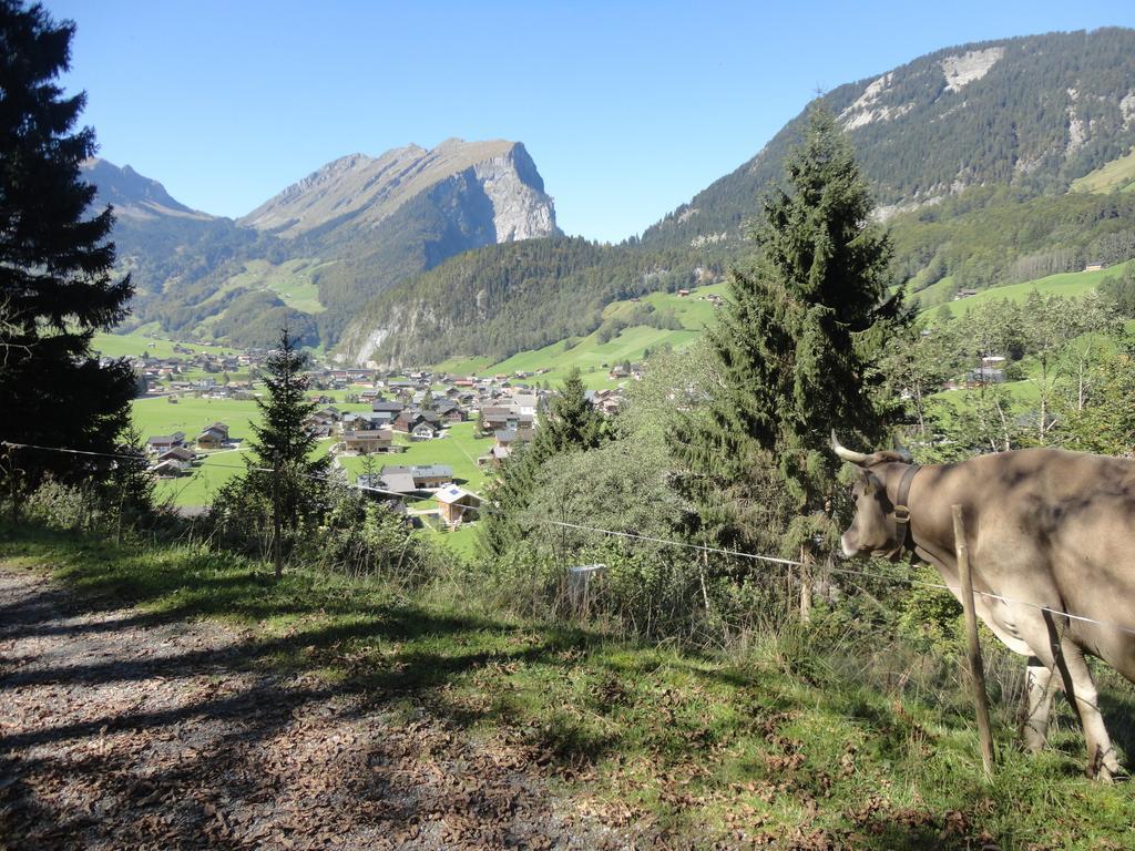 Отель Haus Alpina Au (Vorarlberg) Экстерьер фото